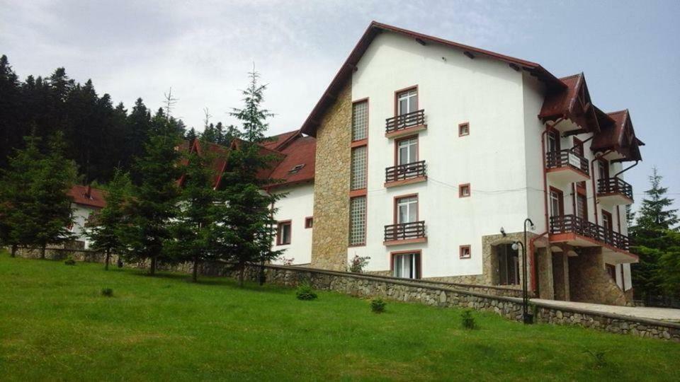 Hotel Floare De Colt Manastirea Humorului Ngoại thất bức ảnh